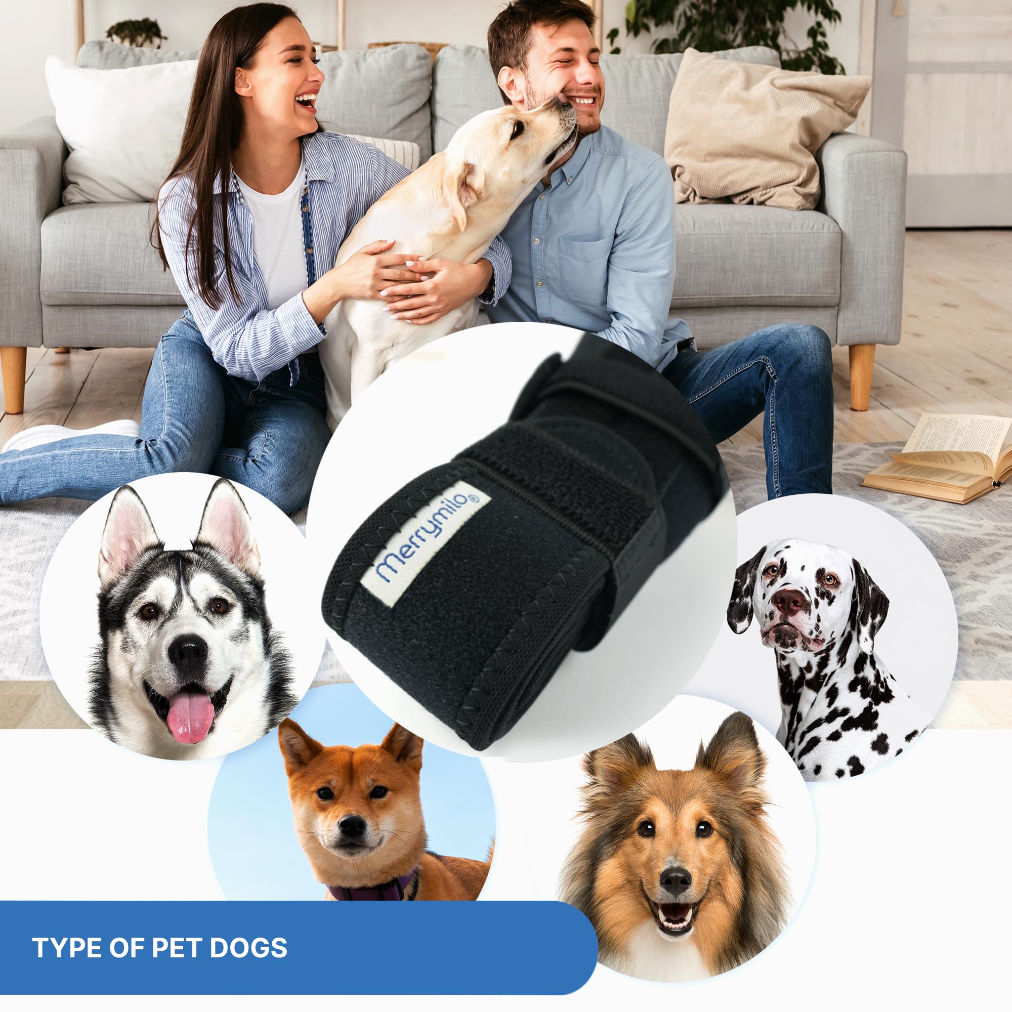 MerryMilo: compatible con talla 2XL para perros grandes