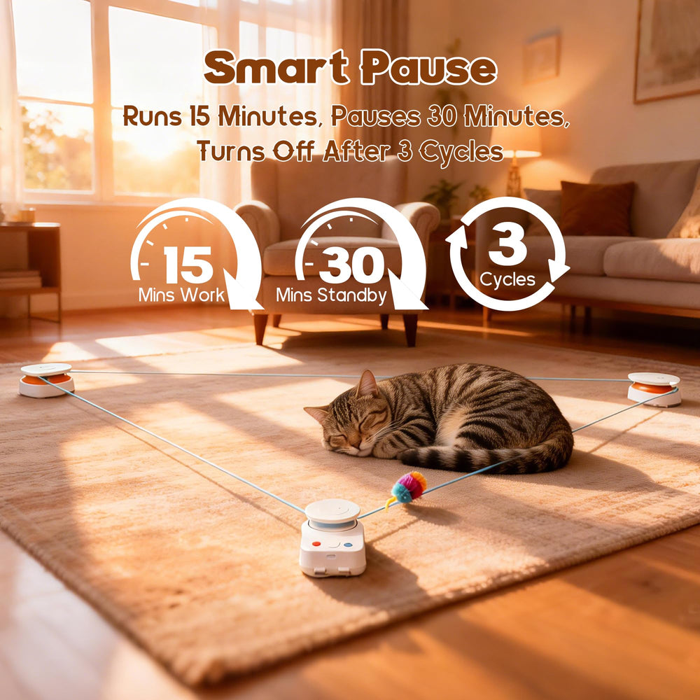 metiya Juguete interactivo para gatos: ruta jugable ajustable para adaptar a tu espacio.