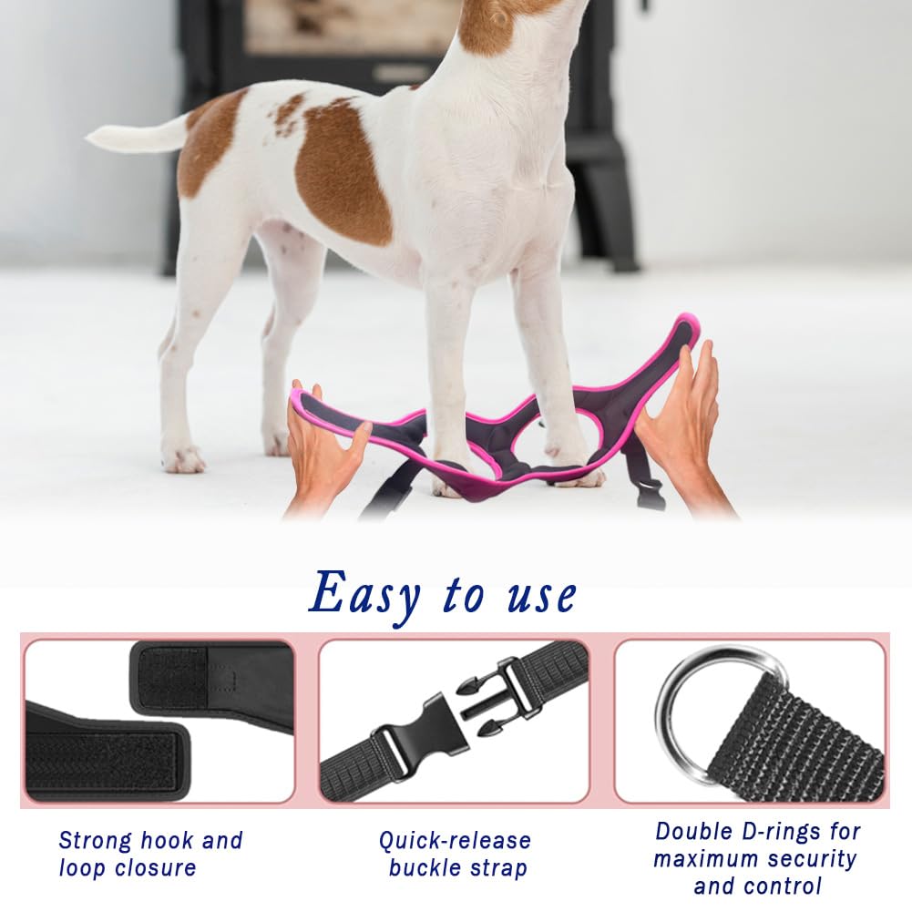 Arnés Metric USA distribuye la presión en el pecho para comodidad durante el paseo.