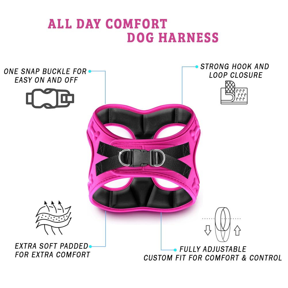 Metric USA Comfort Fit, dos puntos de enganche para correa, control versátil.
