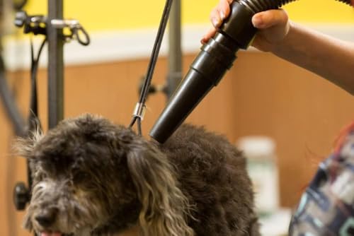 METROVAC MB-3: diseño compacto y ligero para sesiones de grooming manejables.