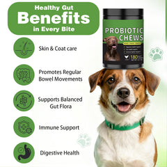 Meukgag Probiotics, enzimas digestivas que ayudan a descomponer nutrientes.