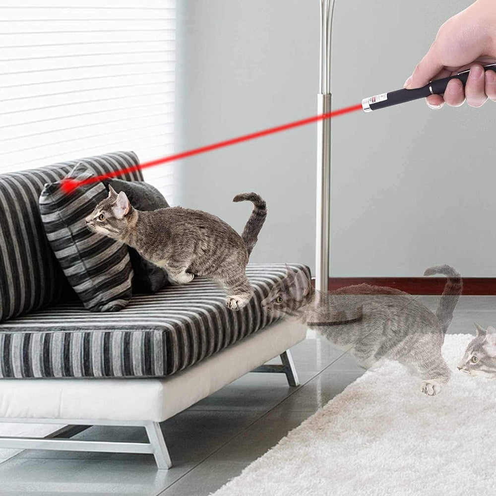 MEUSNO puntero láser para gatos, útil para sesiones de entrenamiento en casa.