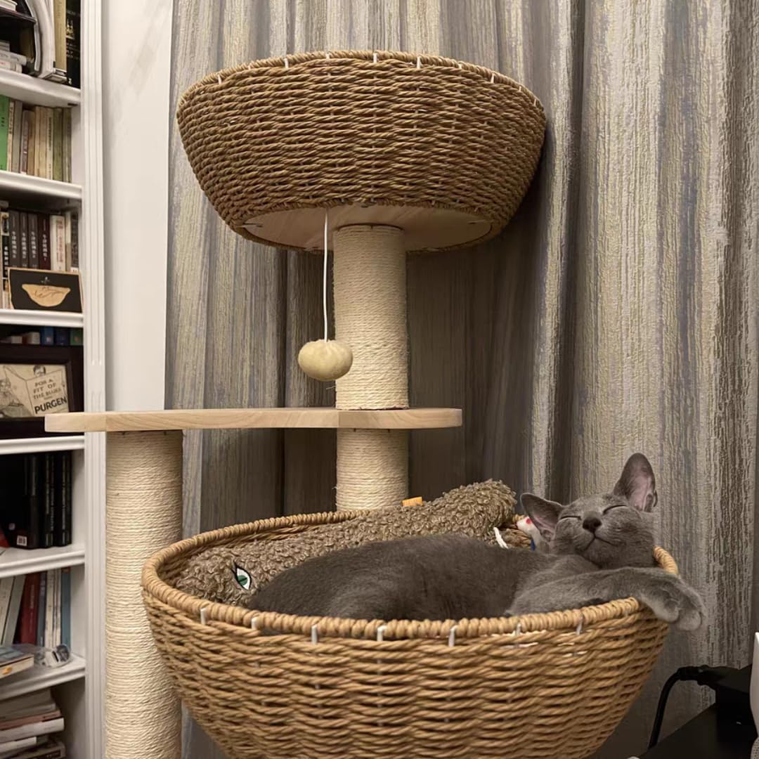 Postes de sisal naturales para rascar sin dañar muebles.