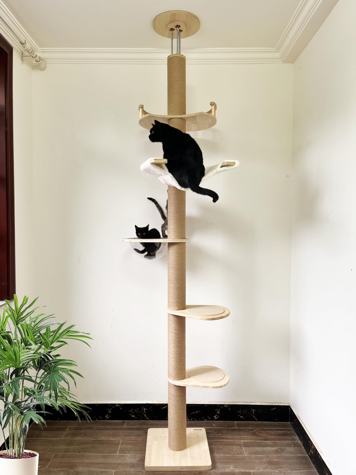 Torre MewJoyee para gatos con postes de sisal para arañar.