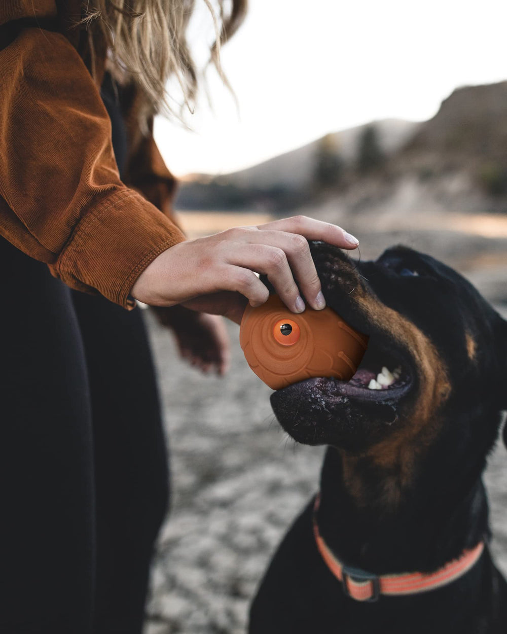 Mewlmart Giggle Ball: fácil de limpiar y resistente frente a mordidas.