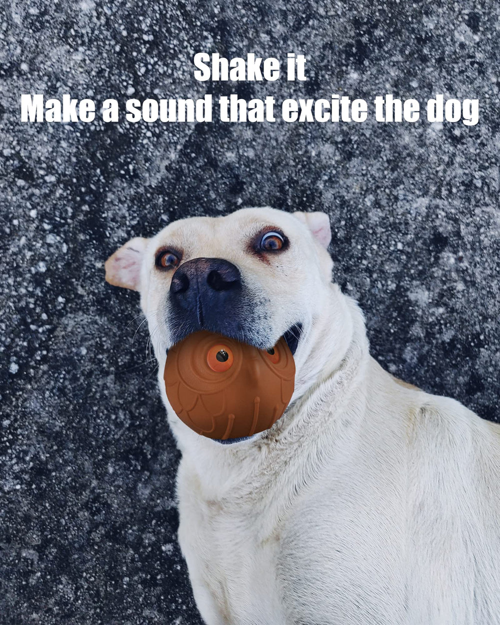 Mewlmart Giggle Ball: sabor carne que atrae y mantiene la atención durante el juego.