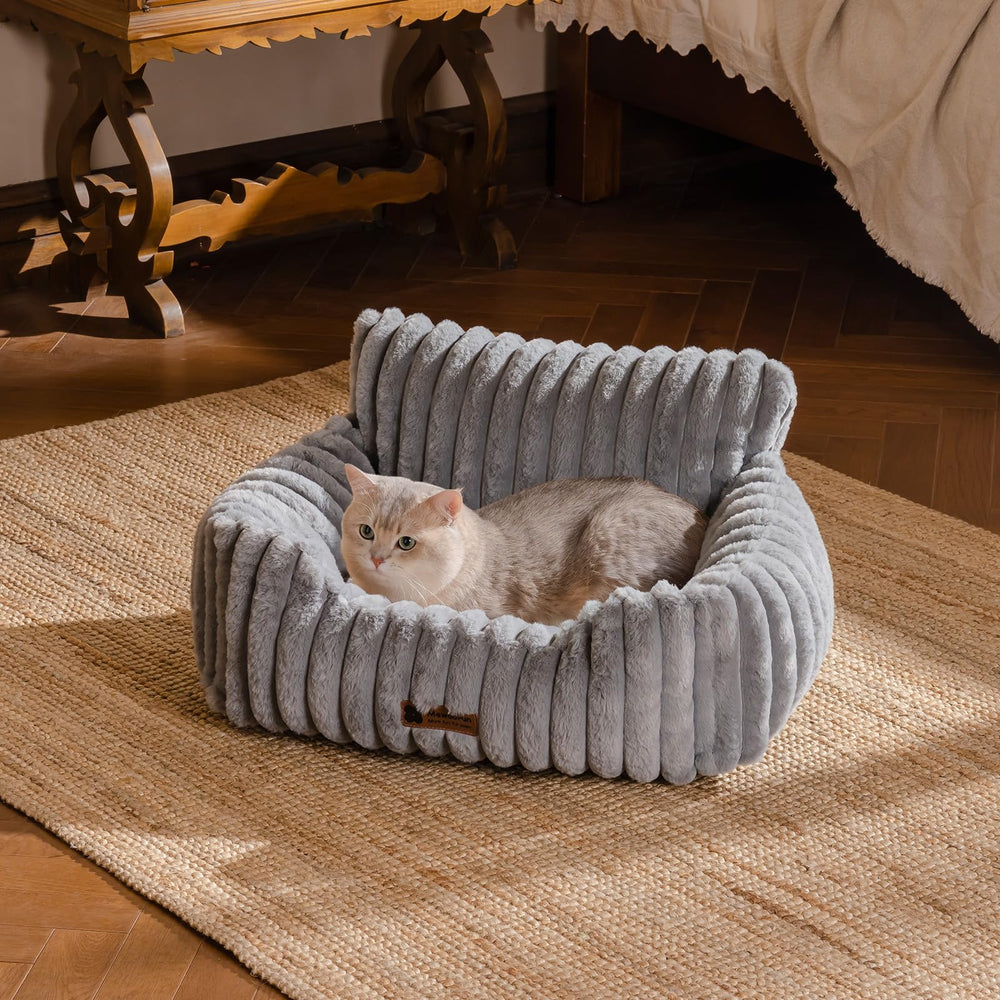 Uso en casa de MEWOOFUN para gatos y perros pequeños.