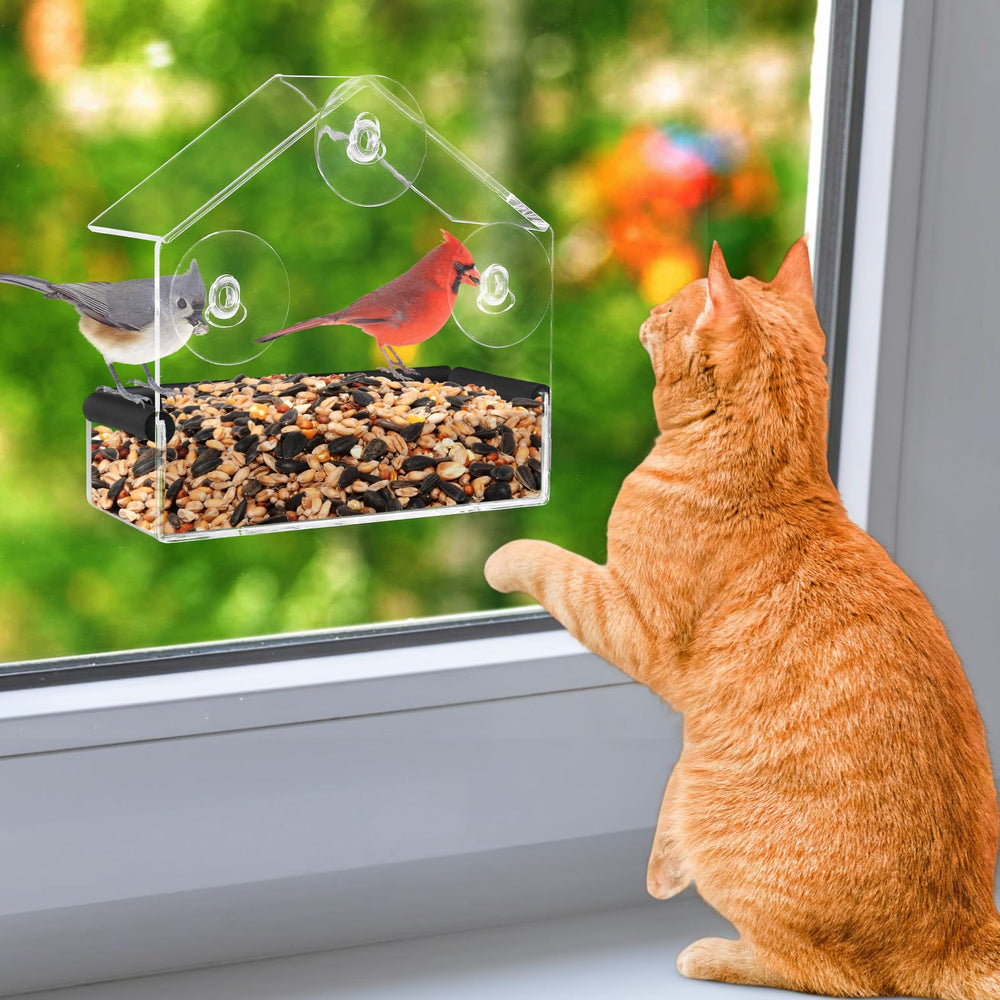 MEWTOGO alimentador de aves para ventana, vista clara de aves para gatos curiosos.