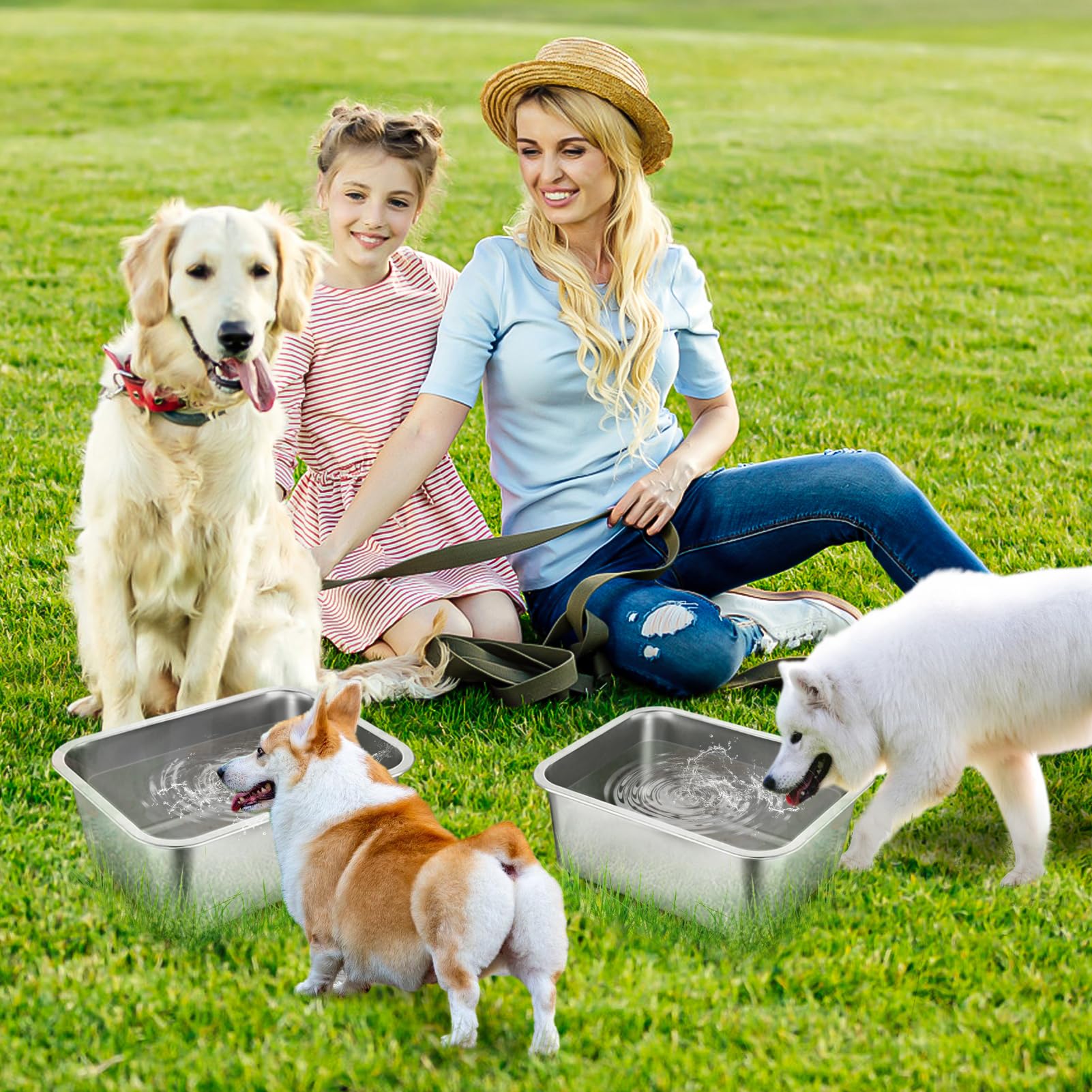 MEWTOGO ideal para hogares con perros grandes que beben con regularidad