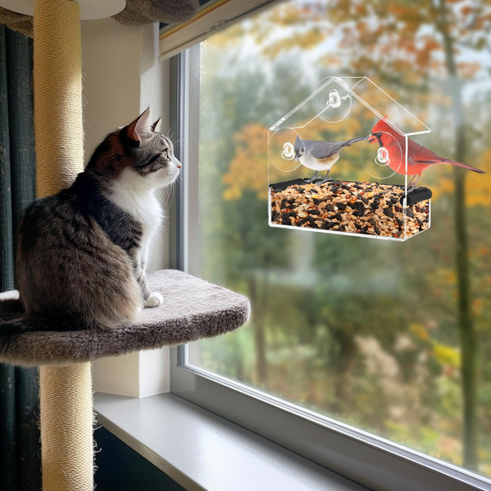 MEWTOGO instalación rápida en una ventana limpia sin complicaciones.