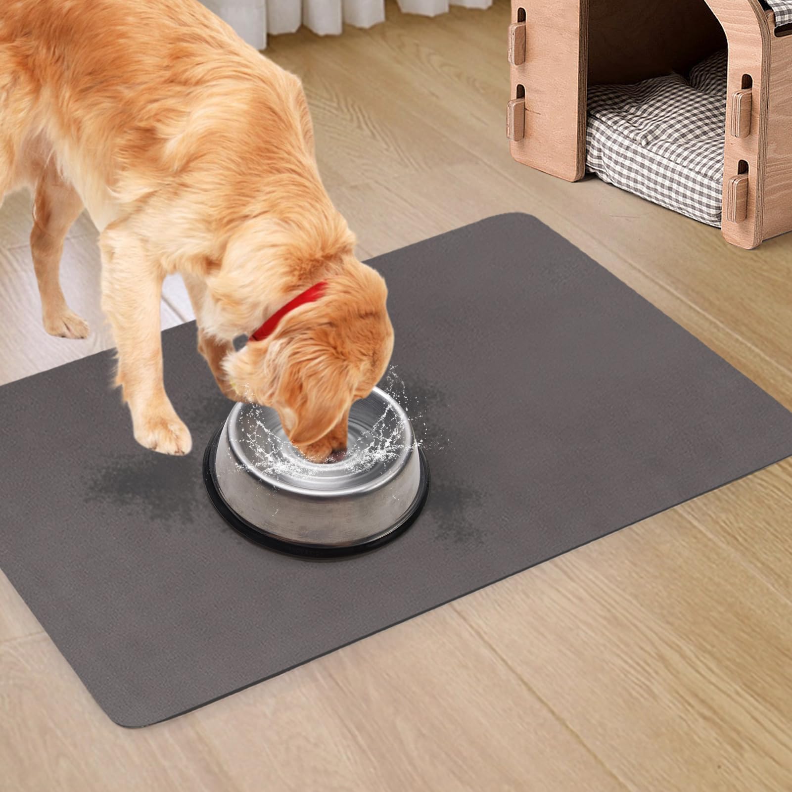 MEWTOGO tapete absorbente grande para perros mantiene el área seca y limpia