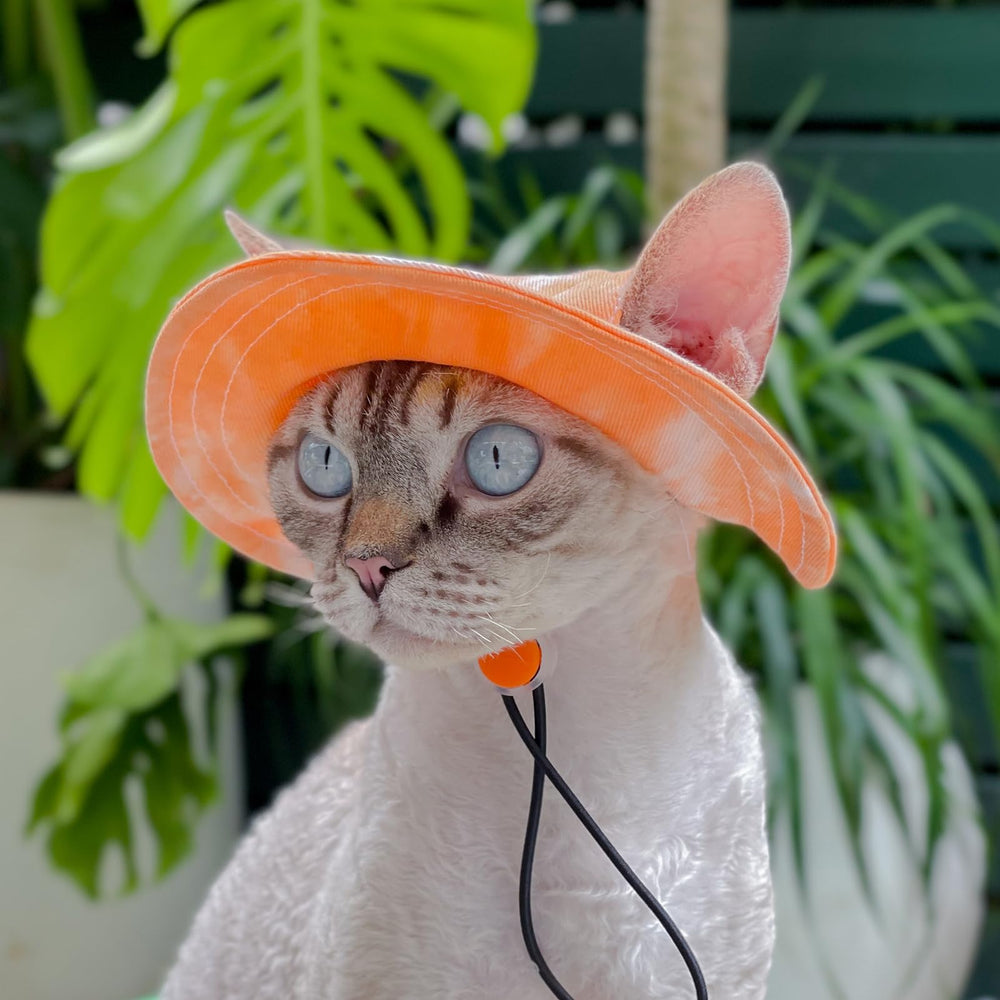 Mianhuatang sombrero ajustable para perros de diferentes tallas, comodidad en cada paseo.