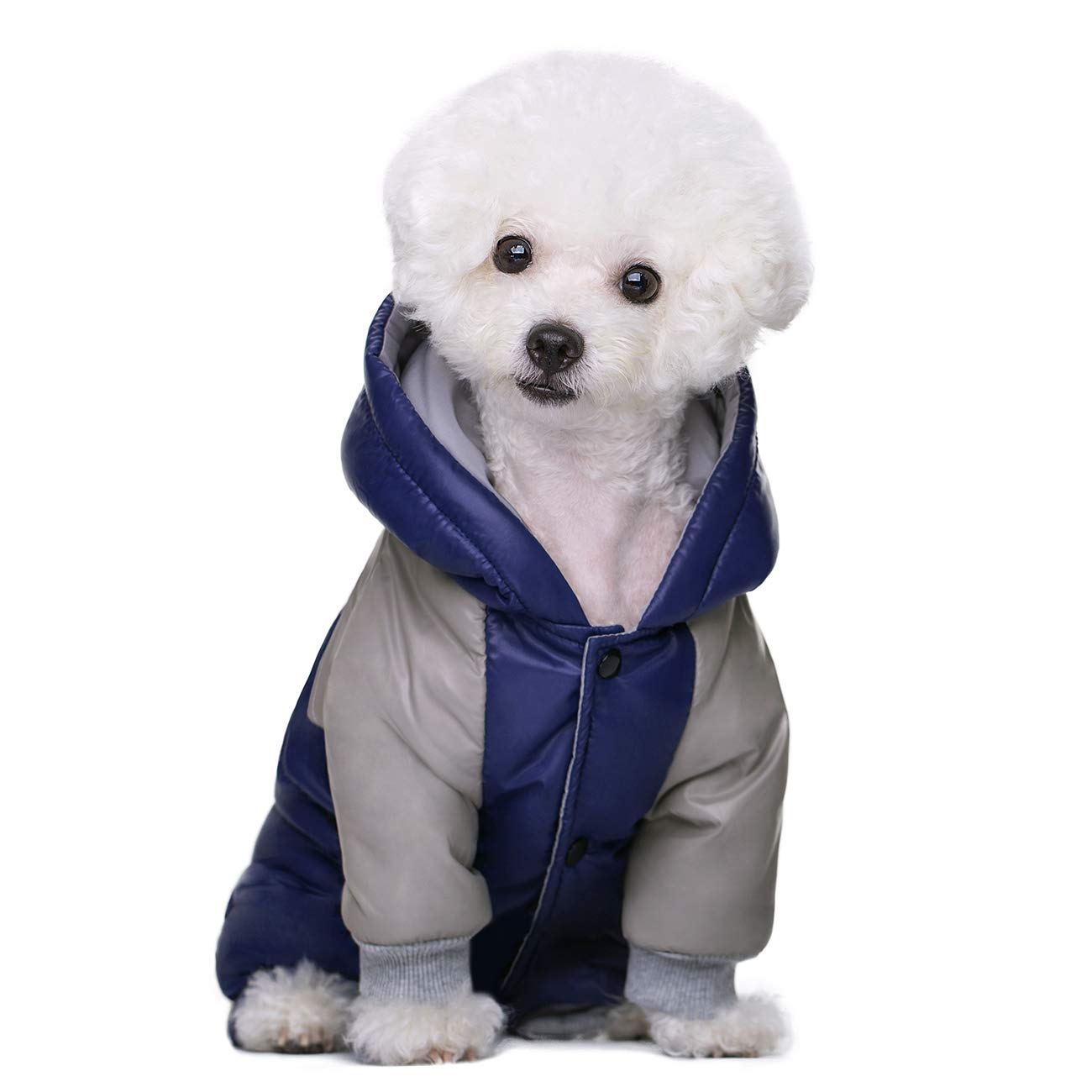 Miaododo diseño cuatro patas con capucha, abrigo práctico para perros activos.