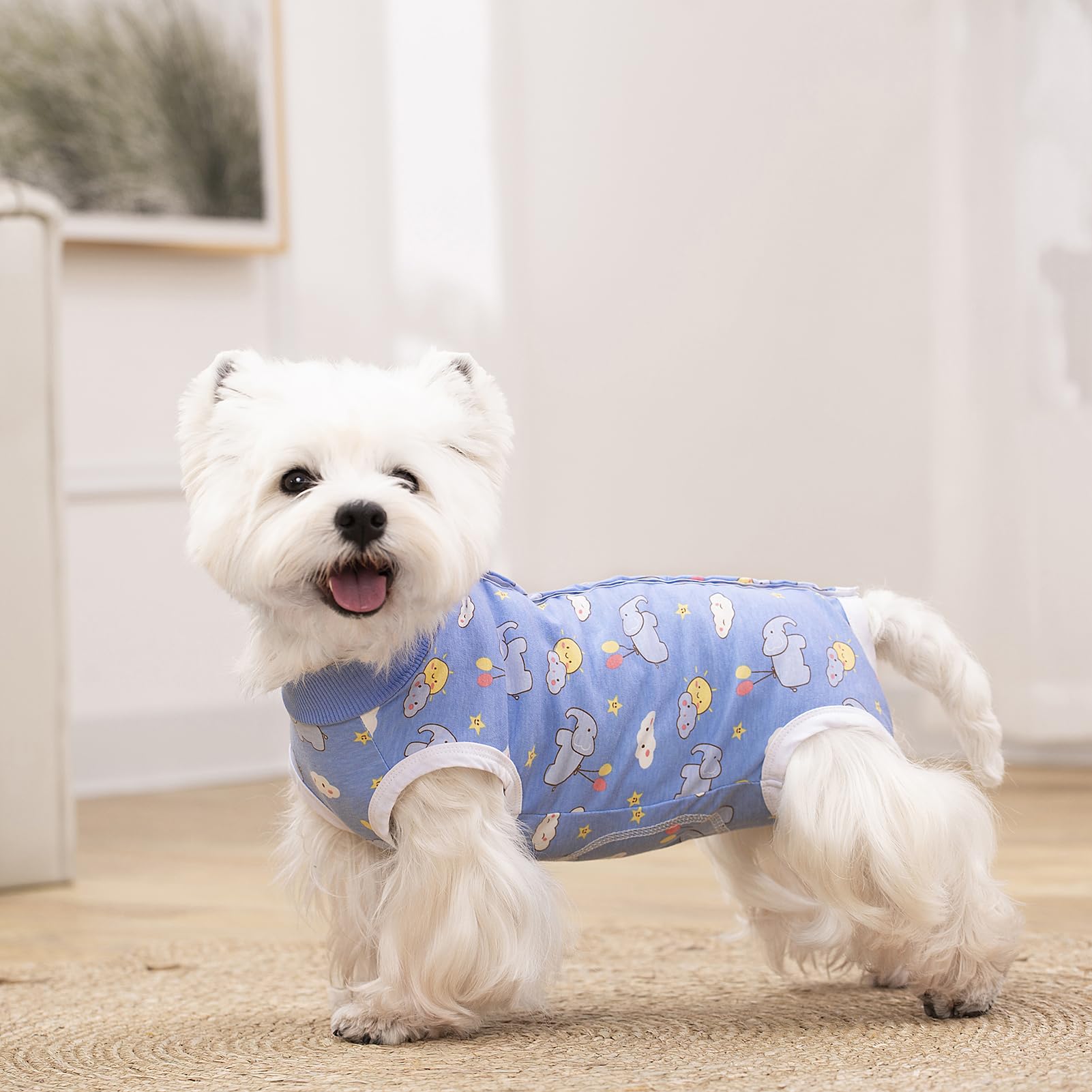 Miaododo: onesie de recuperación para perro movilidad en casa, permite caminar y dormir con facilidad.