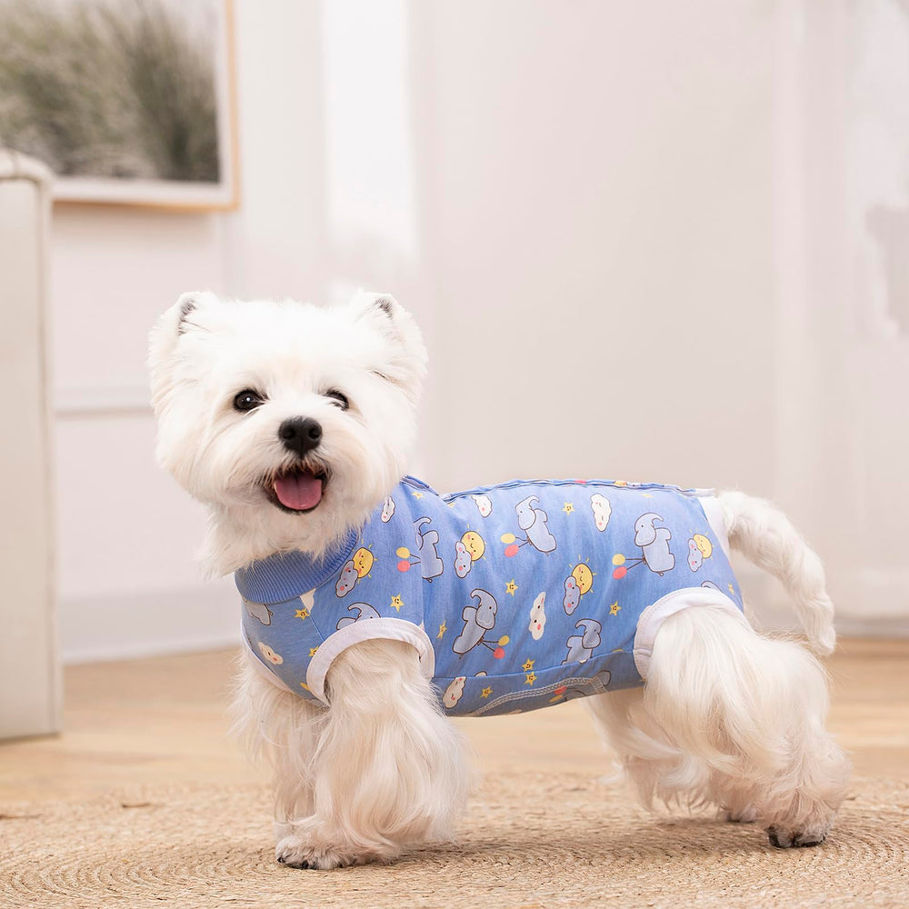 Miaododo: onesie de recuperación para perro movilidad en casa, permite caminar y dormir con facilidad.