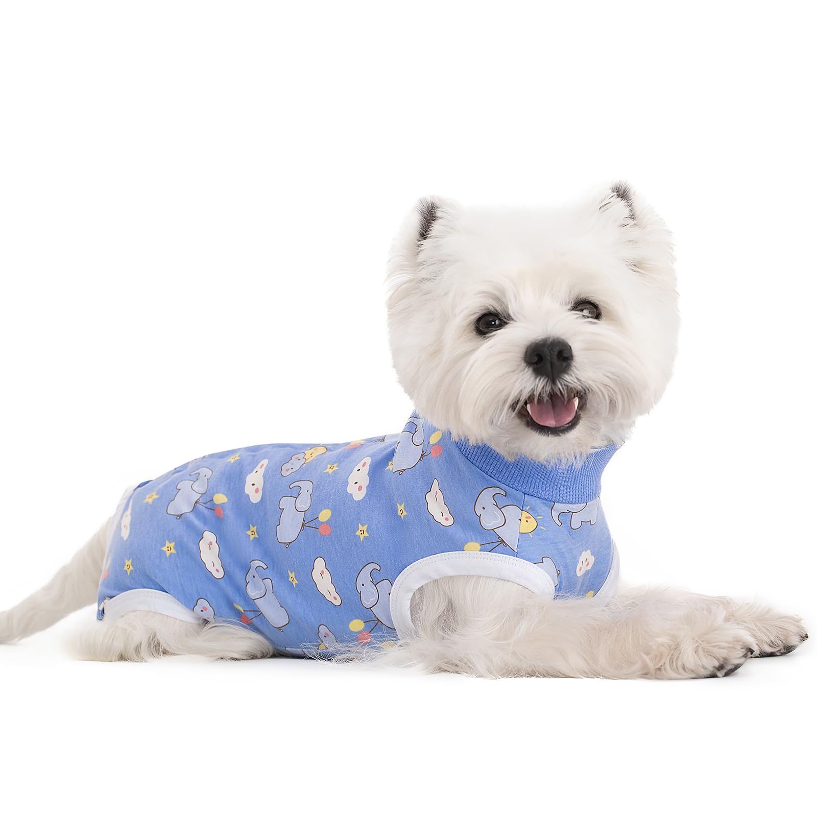 Miaododo: onesie de recuperación para perro, pack 2, facilita cambios y cuidado diario.