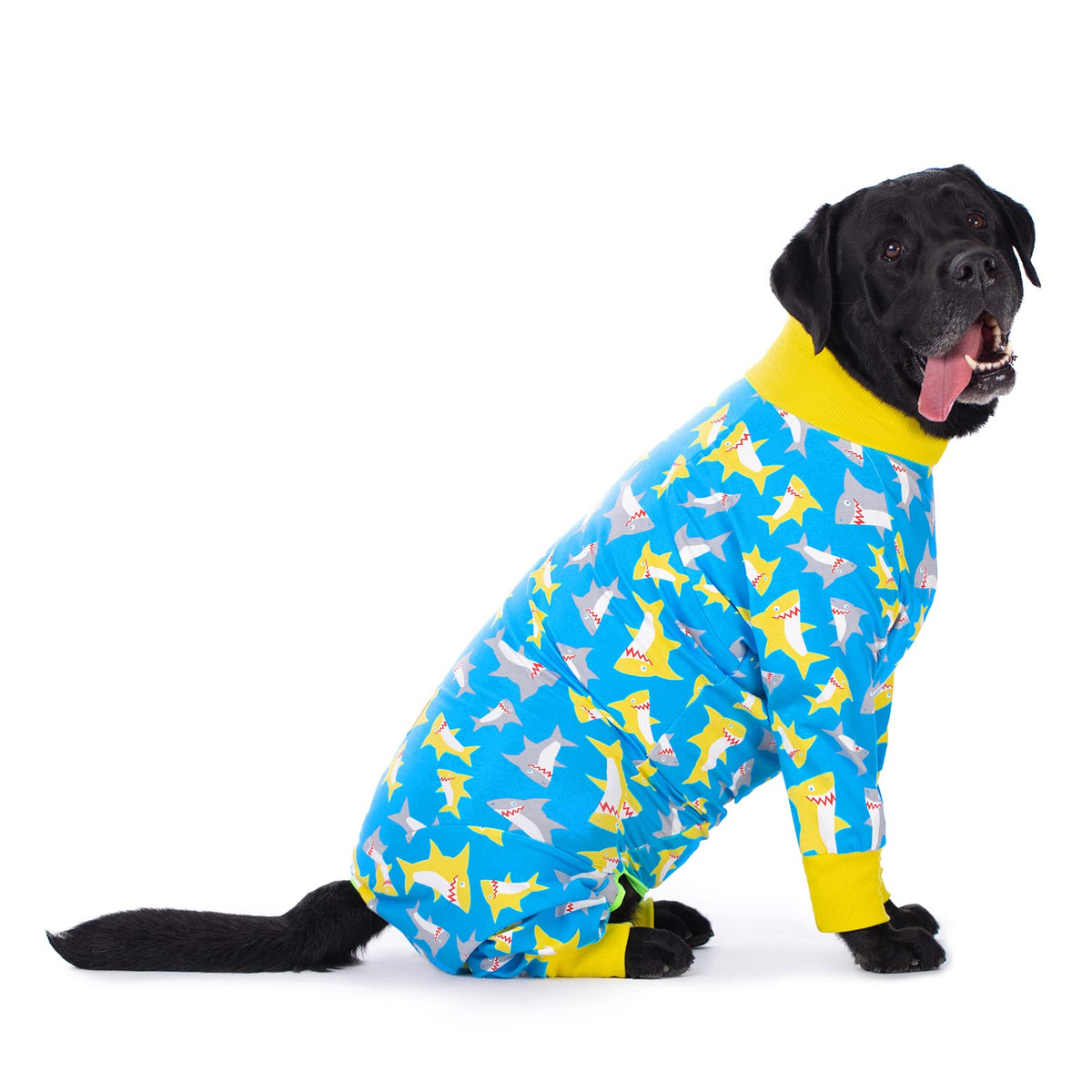 Miaododo pijama para perro dinosaurio azul, cómodo para uso diario.