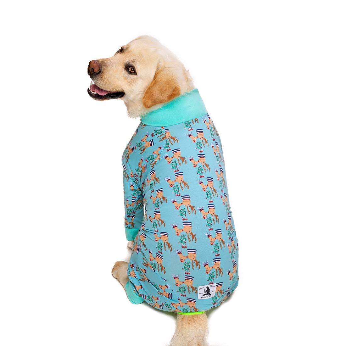 Miaododo: traje para perro abdomen cubierto, comodidad durante el día.