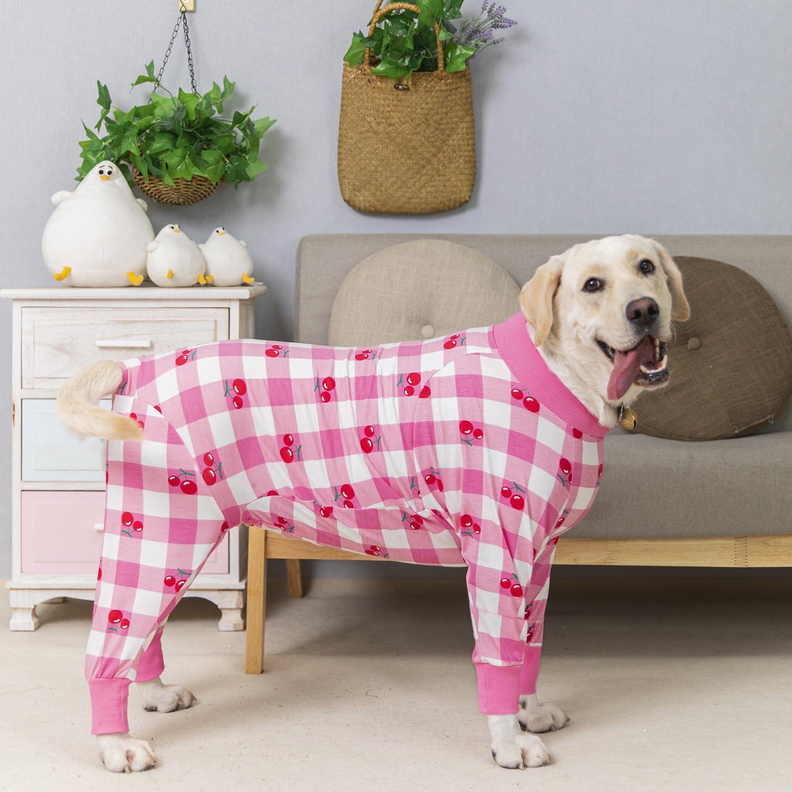 Miaododo traje recuperación para perro rosado, cuello alto: calidez y estilo durante salidas.