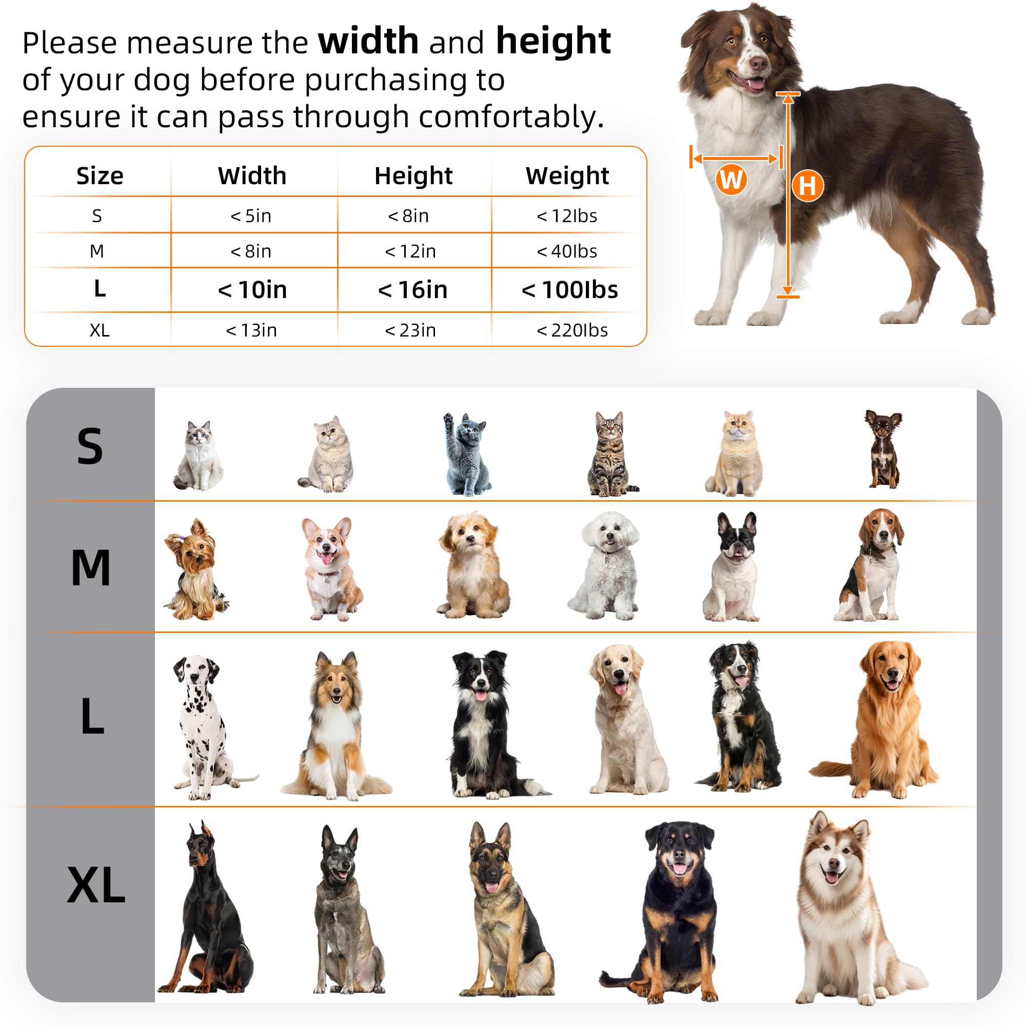 MIAOTONG puerta para perros, servicio posventa atento y disponible