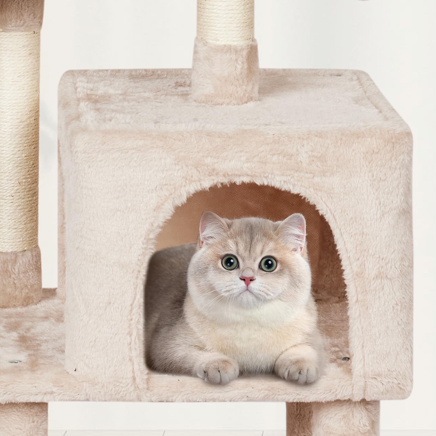 MIAO PAW conjunto-tablero-base: base estable para trepar y rascar.