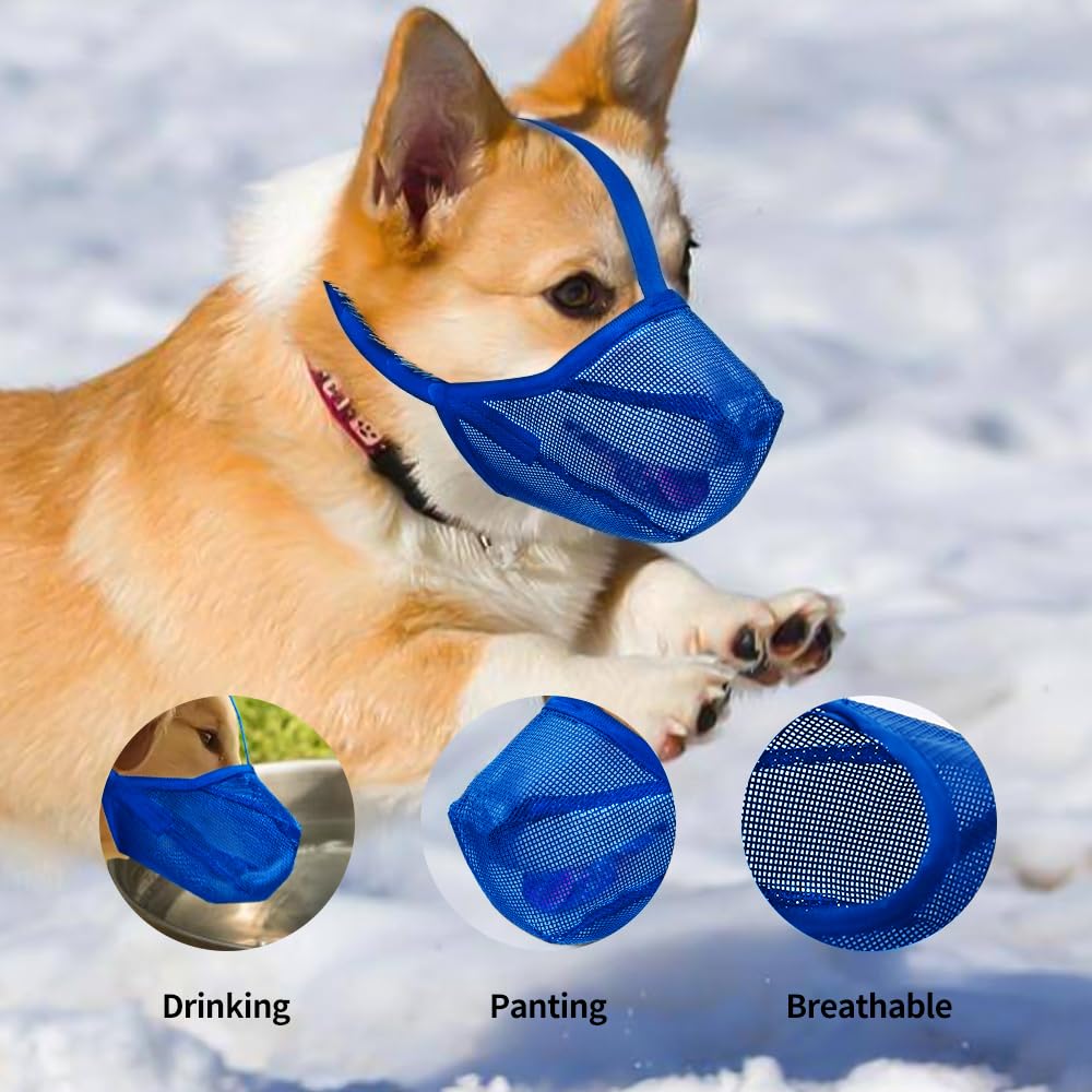 Miavers bozal azul para uso exterior, ideal para paseos diarios.