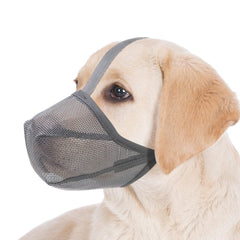 Miavers bozal para perro con malla suave, cómodo para paseos diarios