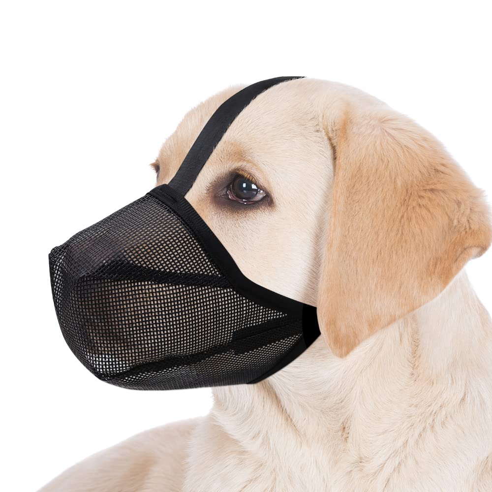 Miavers mordaza para perro uso diario: comodidad constante.