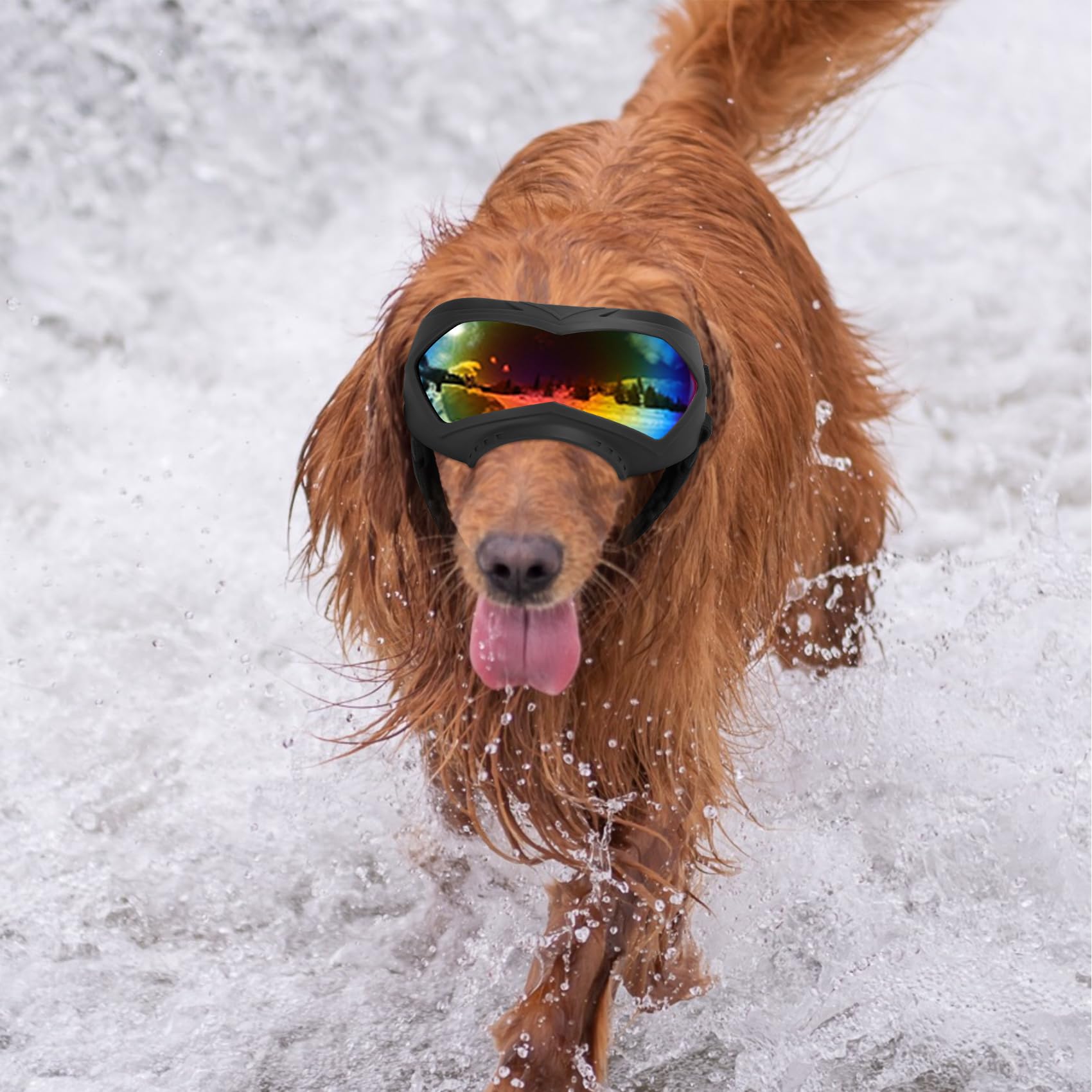 Micnaron gafas para perros correas ajustables para ajuste seguro