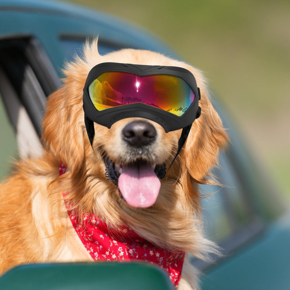 Micnaron gafas para perros diseño moderno y práctico