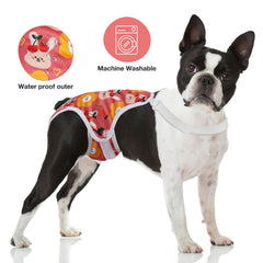 MICOOYO tirantes ajustables para talla variable, ofrece ajuste cómodo y seguro en distintos perros.