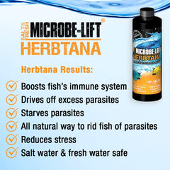 MICROBE-LIFT Herbtana: tratamiento para parásitos como Ich y Trichodina.