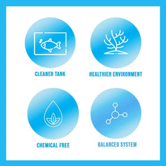 MICROBE-LIFT Special Blend ayuda a lograr agua más clara en acuarios.