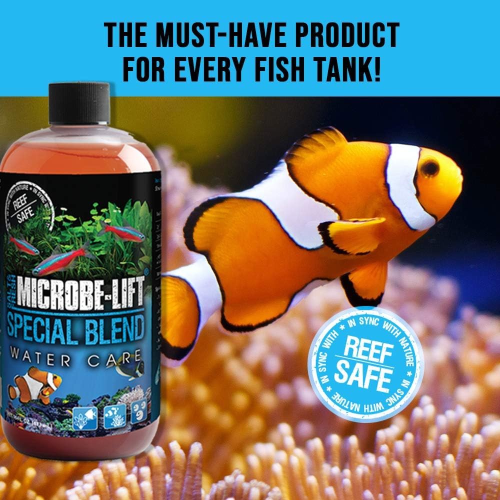 MICROBE-LIFT Special Blend muestra bacterias beneficiosas que promueven agua más clara.