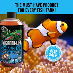 MICROBE-LIFT Special Blend muestra bacterias beneficiosas que promueven agua más clara.