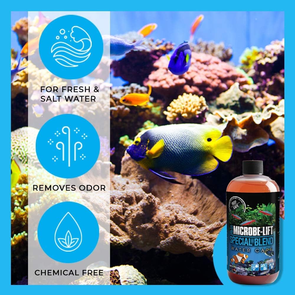 MICROBE-LIFT Special Blend facilita dosis semanales para mantener filtración biológica.