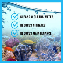 MICROBE-LIFT Special Blend elimina olores en el acuario para un ambiente fresco.