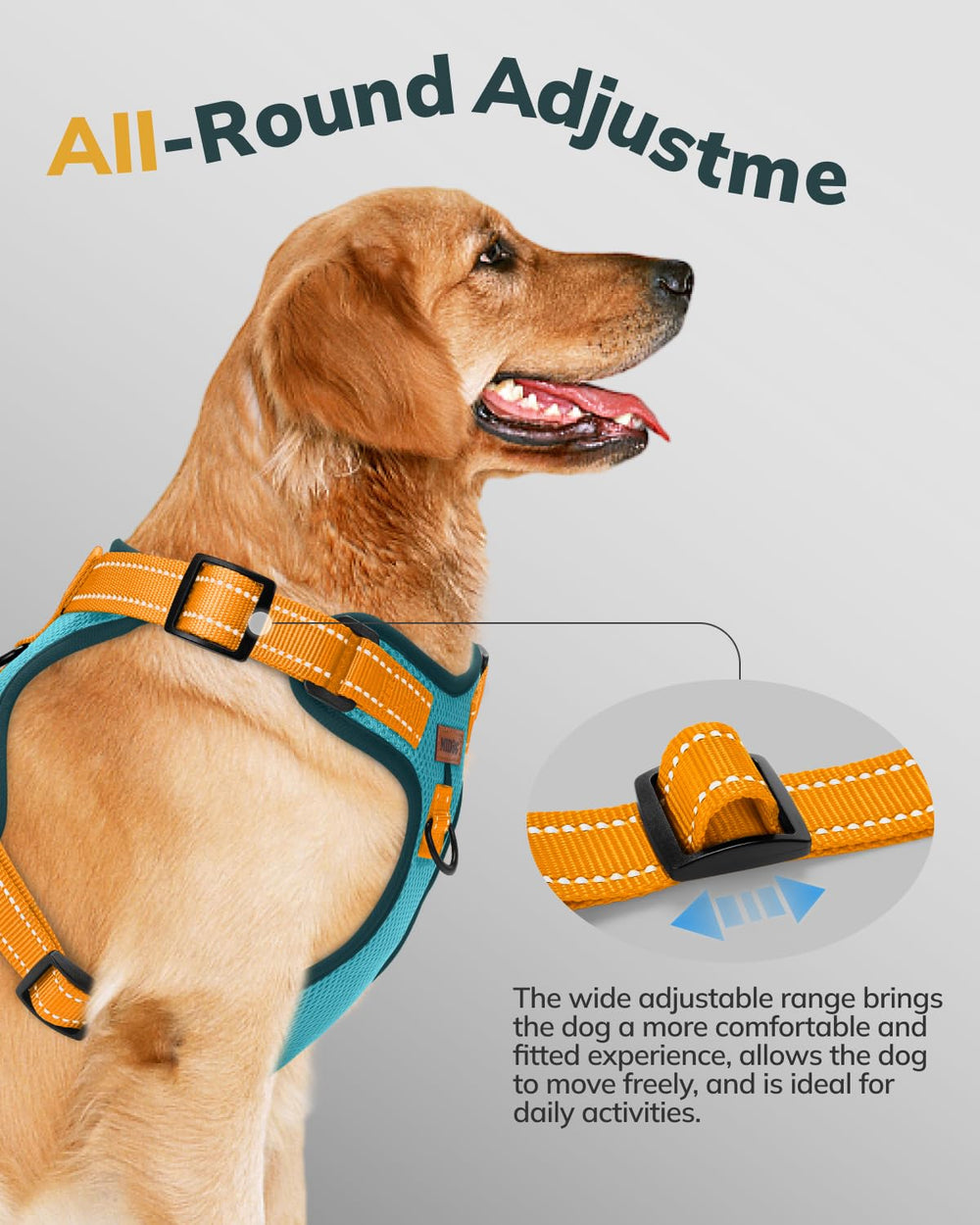 Arnés MIDOG con cuatro puntos de ajuste para un ajuste seguro.
