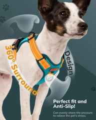 Arnés MIDOG con clip pecho para entrenamiento cómodo.
