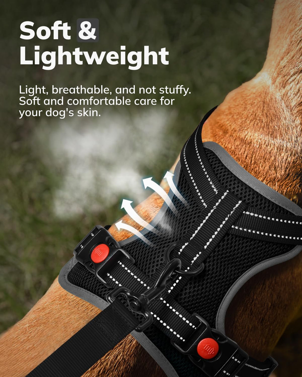 ARNÉS MIDOG con asa de control fácil para maniobras precisas