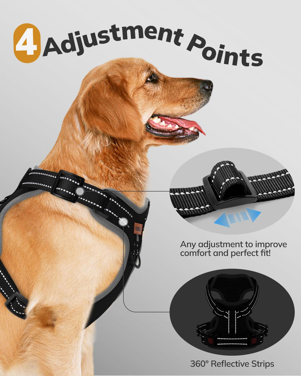 ARNÉS MIDOG con cintas reflectantes para visibilidad nocturna