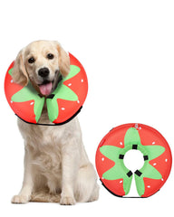 MIDOG collar inflable en forma de dona, evita lamer sin incomodar al perro.