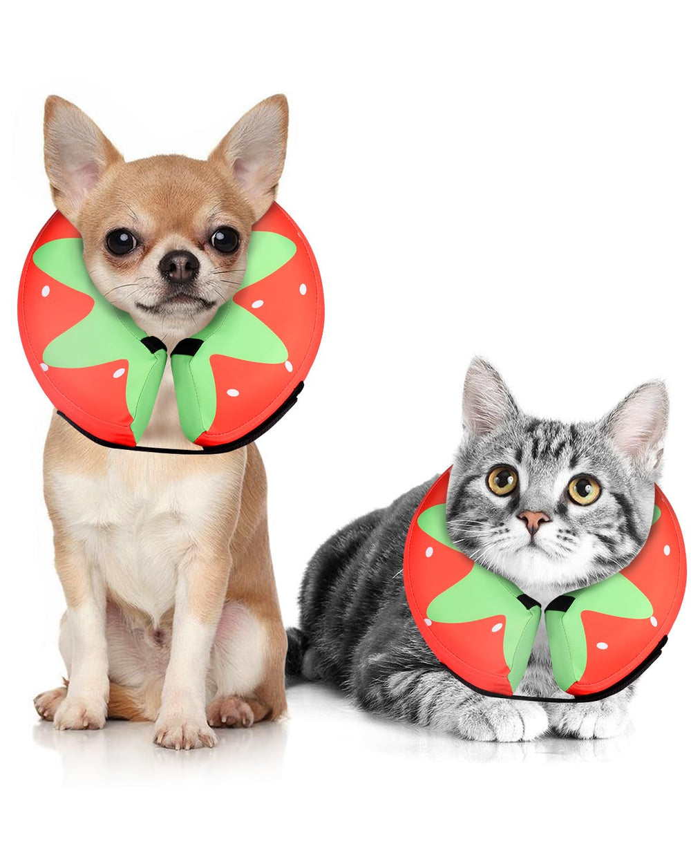 El MIDOG collar inflable suave puesto en un perro evita lamer heridas.