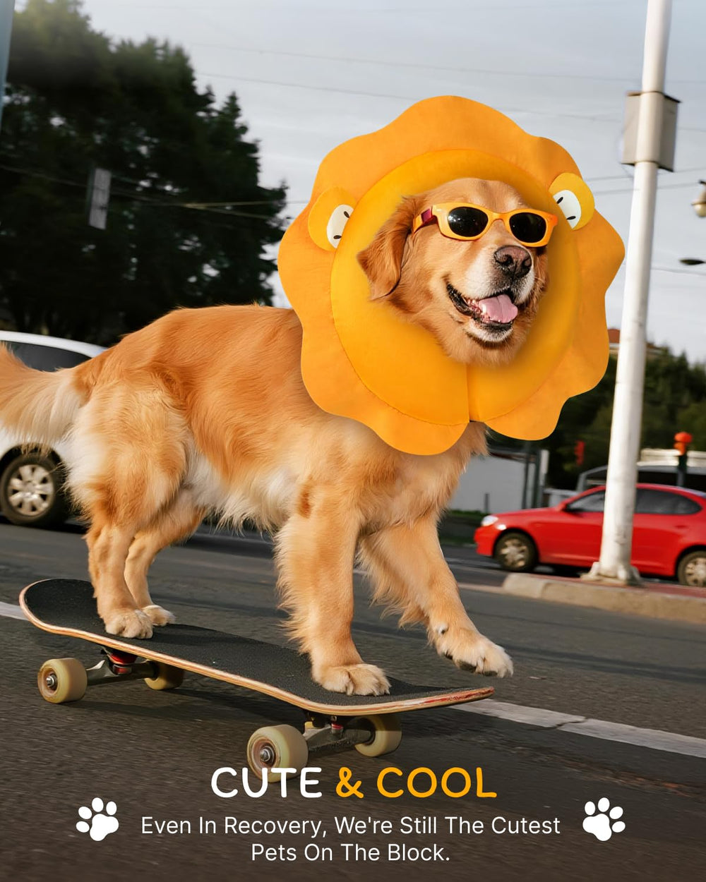 MIDOG collar ligero: soporte suave que mantiene la movilidad.