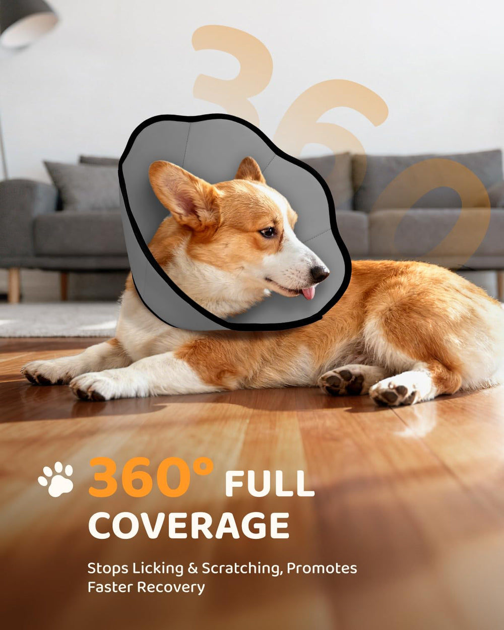 MIDOG collar suave para perros, costado, previene lamido de heridas postoperatorias