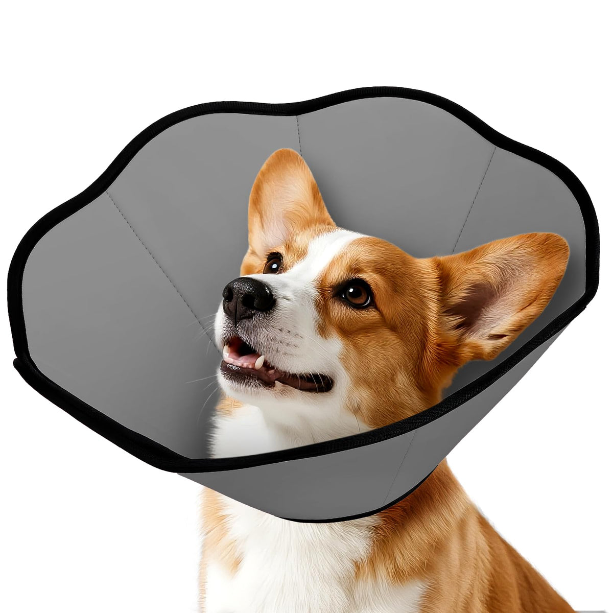 MIDOG collar suave para perros, frente, evita lamer heridas tras cirugía