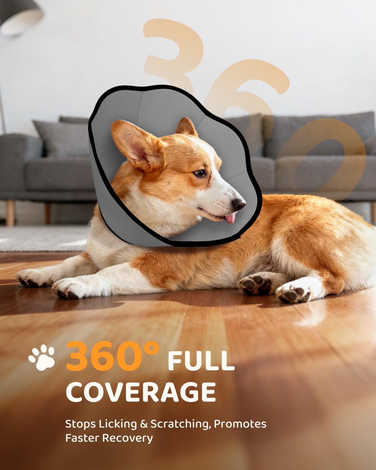 Cono MIDOG con borde curvo protege cicatrices desde todos los ángulos