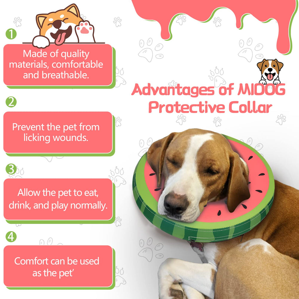 Cono inflable MIDOG con ajuste seguro y hebilla duradera.