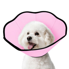 MIDOG cono suave colocado en cuello de perro posoperatorio, protegiendo heridas